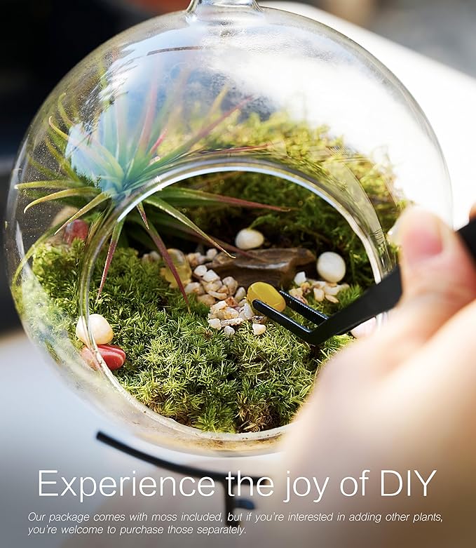 15-Piece Terrarium Kit with Live Moss – DIY Glass Globe Set with Tools, Soil, Stones & Spray Bottle – Indoor Mini Garden Gift for Plant Lovers, Home Decor & Zen Craft