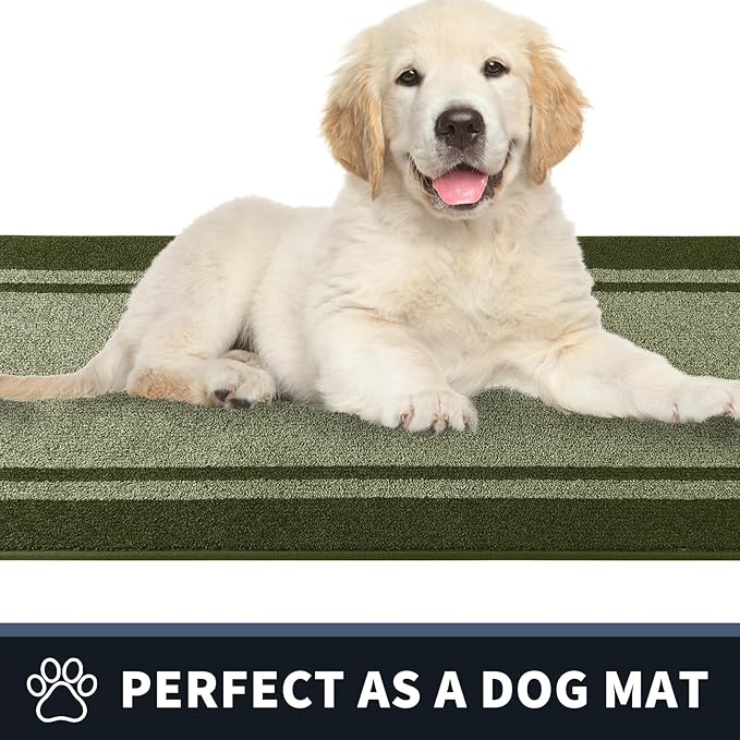 PURRUGS Dirt Trapping Door Mat 20" x 32", Non-Slip/Skid Machine Washable Entryway Rug, Shoes Scraper, Area Rug, Super Absorbent Welcome Mat for Muddy Wet Shoes and Paws, Budding Green & Sage Green