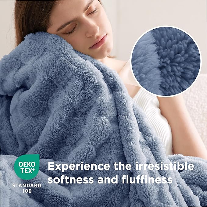 Bedsure GentleSoft Twin Blanket for Bed Ashley Blue - Super Soft Cozy Blankets for Women Men Girls, Cute Fuzzy Fleece Throws for Bedroom Couch, 60x80 Inches