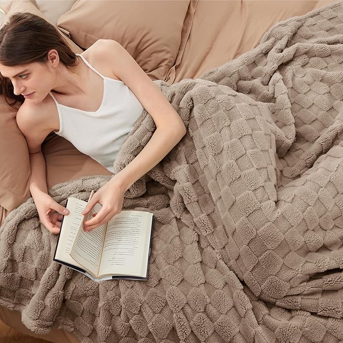 Bedsure GentleSoft Full Size Blankets for Bed Light Taupe - Super Soft Cozy Fleece Blanket for Women Men Girls, Large Fuzzy Throws for Bedroom Decor, 84x90 Inches