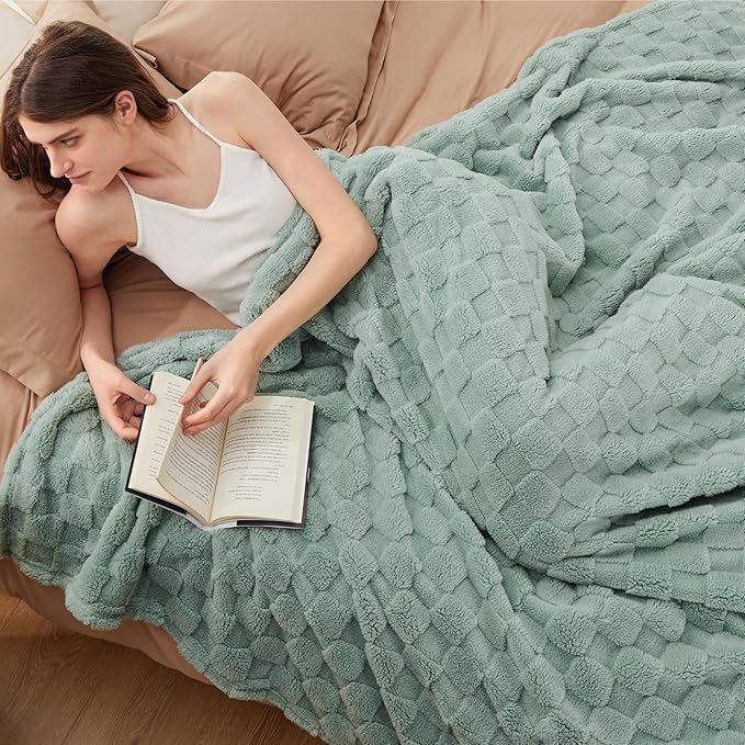 Bedsure GentleSoft Blankets Queen Size for Bed - Super Soft Cozy Blanket for Women Men Girls, Large Fuzzy Fleece Throw for Bedroom Decor, Sage Green, 90x90 Inches