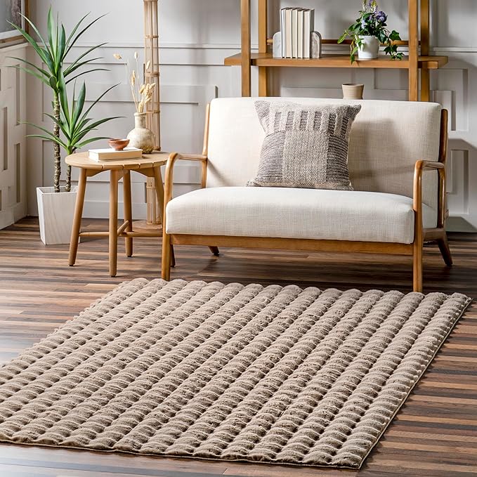 nuLOOM 3'9" x 6' Cozy Plush SuperiorWash Area Rug, Machine Washable, Non-Slip, Soft Fluffy Shag Carpet for Living Room Bedroom Kids Room Nursery Home Decor, Jeni Taupe
